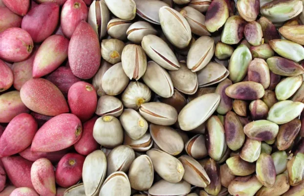 Persian Pistachios Recipes, a taste of Iran