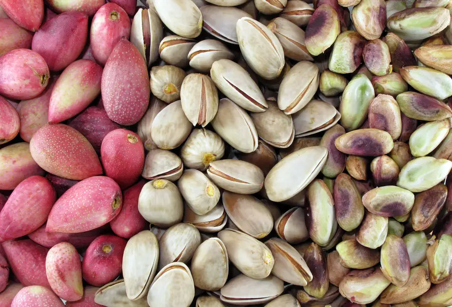 Persian Pistachios Recipes, a taste of Iran